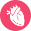 Cardiology services specializing in heart and vascular health, including diagnosis and treatment of cardiovascular diseases