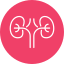 Nephrology services specializing in kidney care, disease prevention, and treatment"