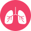 Preventive care services for maintaining health and preventing chronic conditions