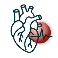 Cardiology practice
