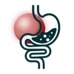 Gastroenterology practice